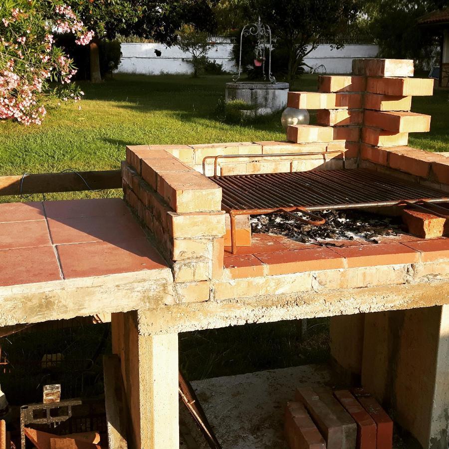 B&B Tenuta Di Vado Piano Nella Selva Di Circe Cerasella Exteriör bild